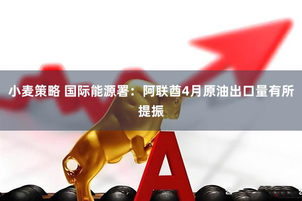 小麦策略 国际能源署：阿联酋4月原油出口量有所提振